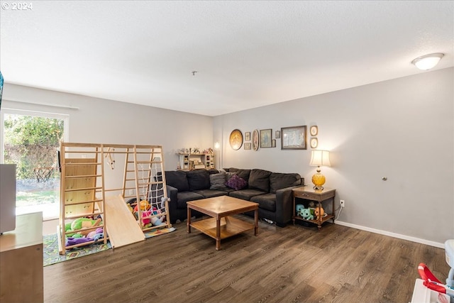 living room featuring dark hardwood / wood-style flooring