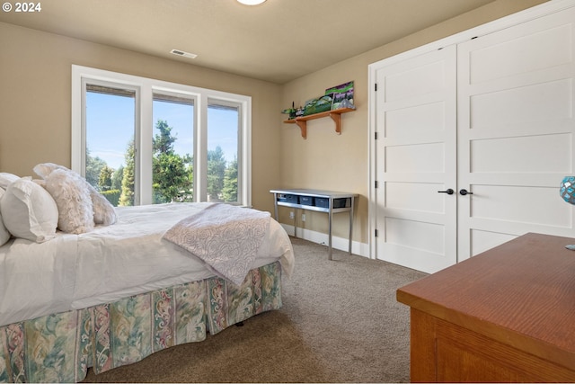 carpeted bedroom featuring a closet