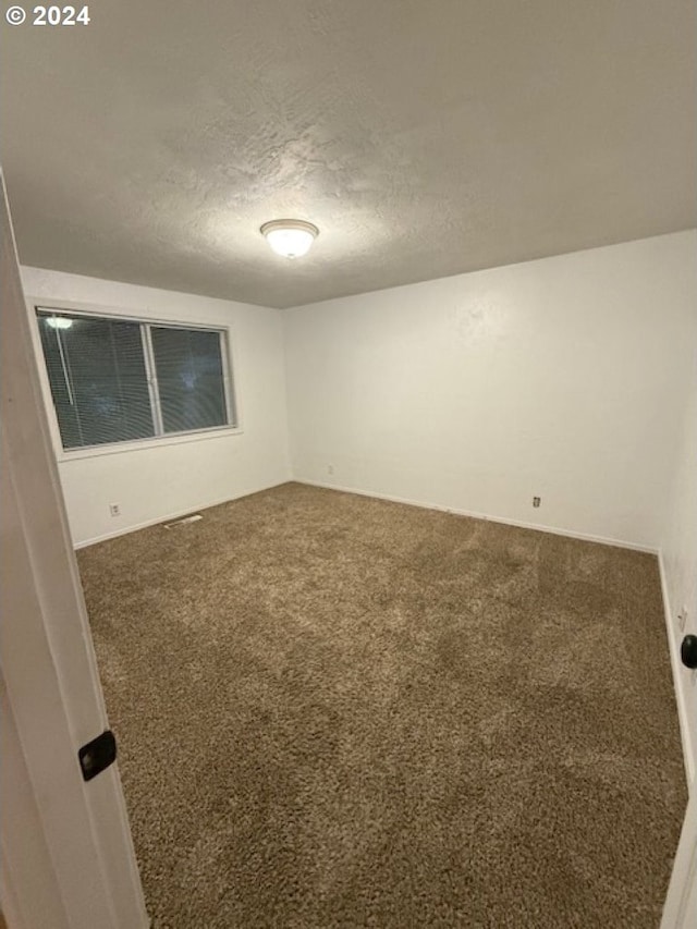 spare room featuring carpet and a textured ceiling