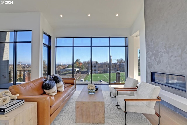 living room featuring a fireplace and light wood-type flooring