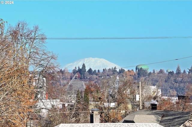 view of mountain feature