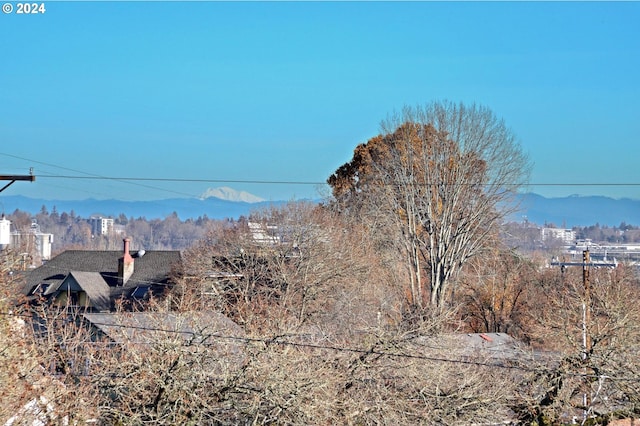 view of mountain feature