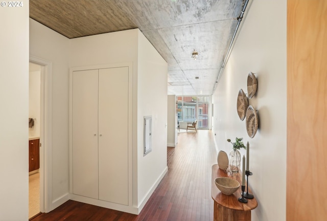 corridor featuring dark hardwood / wood-style flooring