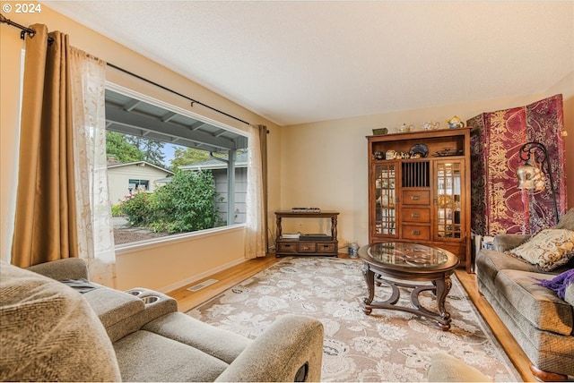 living room with wood-type flooring