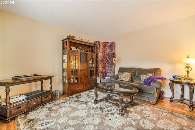 living room featuring a textured ceiling and hardwood / wood-style flooring