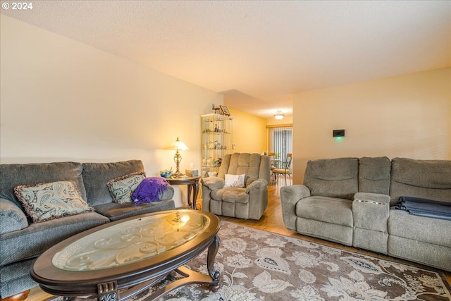 living room with light hardwood / wood-style flooring