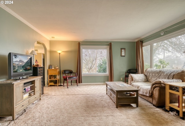 carpeted living room with crown molding