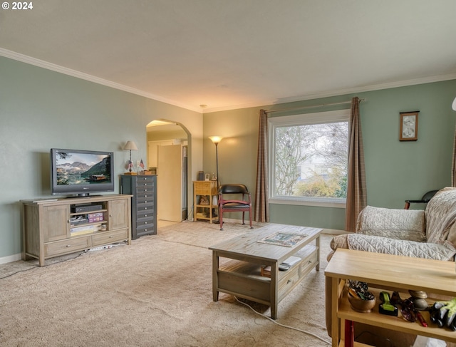 carpeted living room with crown molding