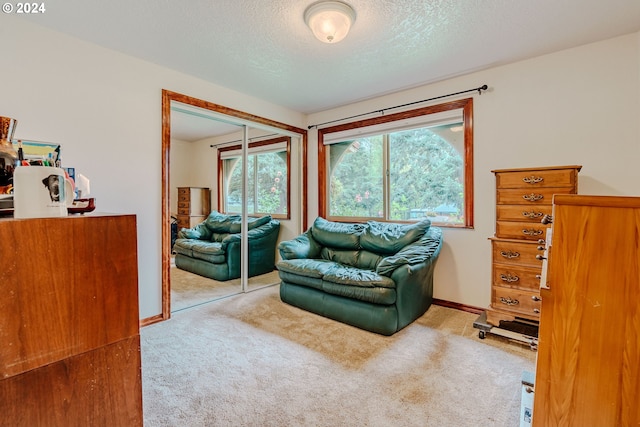 living room with carpet and a textured ceiling