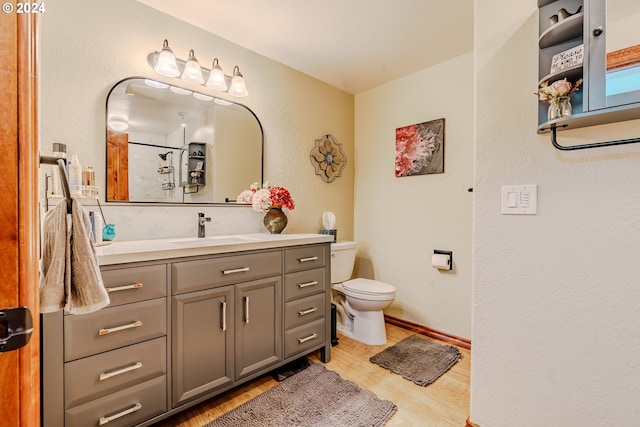 bathroom featuring vanity, toilet, and wood-type flooring