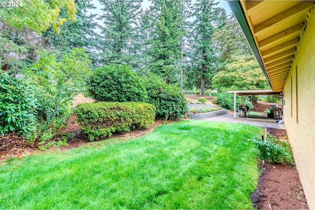 view of yard featuring a patio area