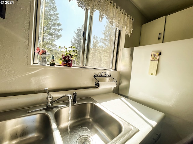 interior details with light countertops and a sink