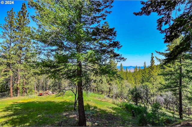 view of nature with a view of trees