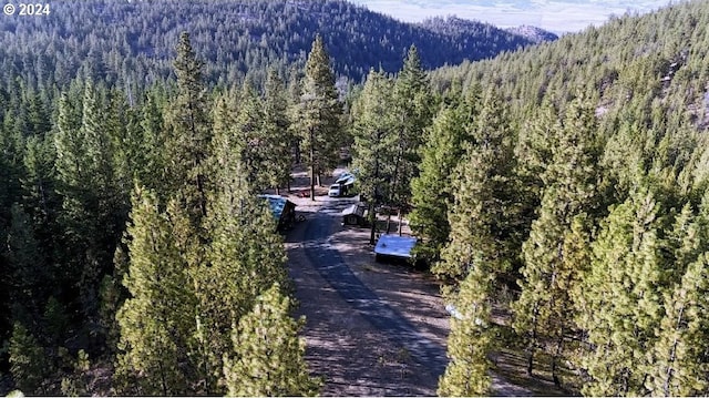 bird's eye view with a forest view