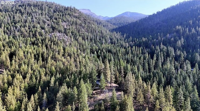 mountain view featuring a view of trees