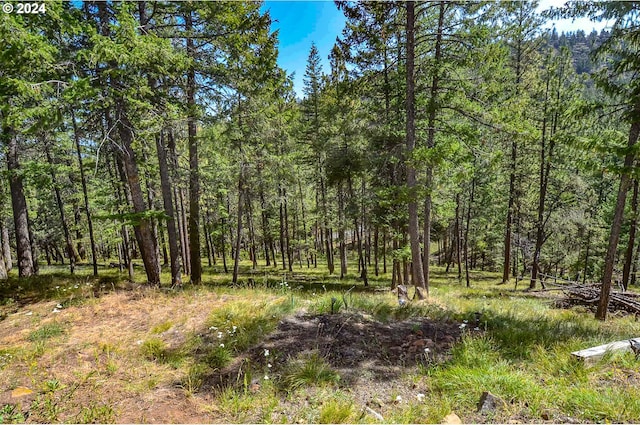 view of local wilderness featuring a wooded view