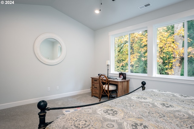 bedroom with lofted ceiling and carpet flooring