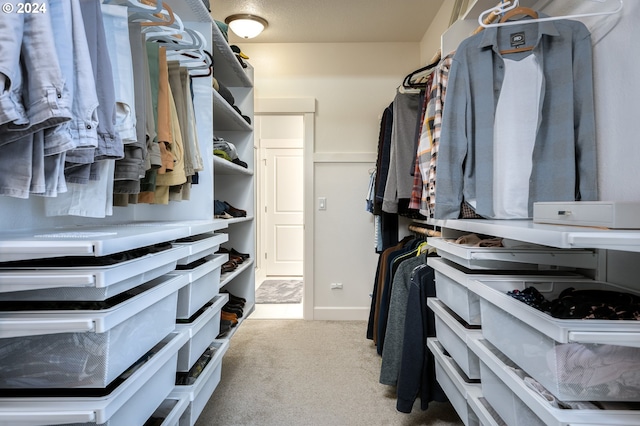 spacious closet with light carpet