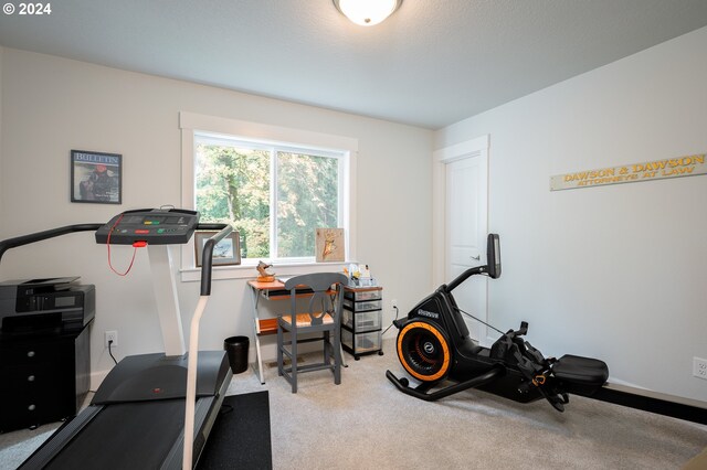 workout room featuring light carpet