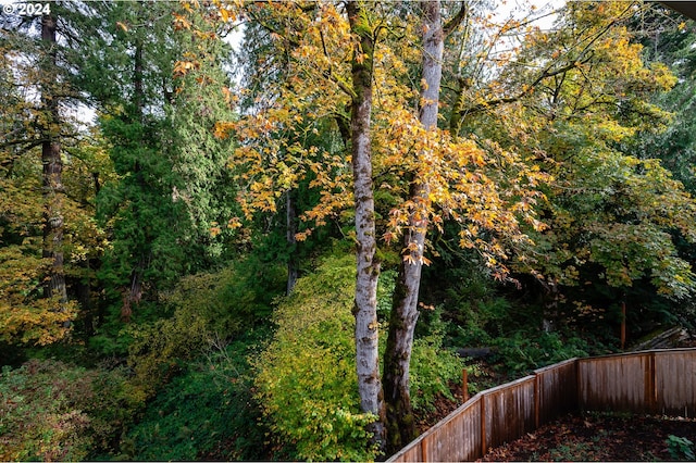 view of local wilderness