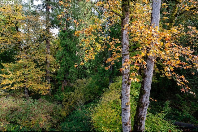 view of local wilderness