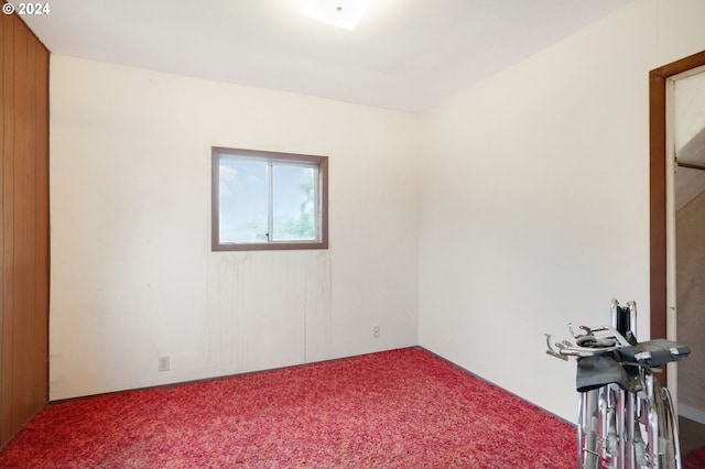 spare room featuring wooden walls and carpet flooring