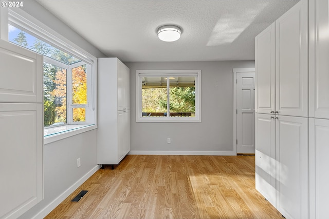 empty room featuring a textured ceiling, light wood-type flooring, and a healthy amount of sunlight