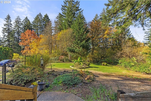 31205 NE 152nd Ave, Battle Ground, WA 98604 - view of grassy yard