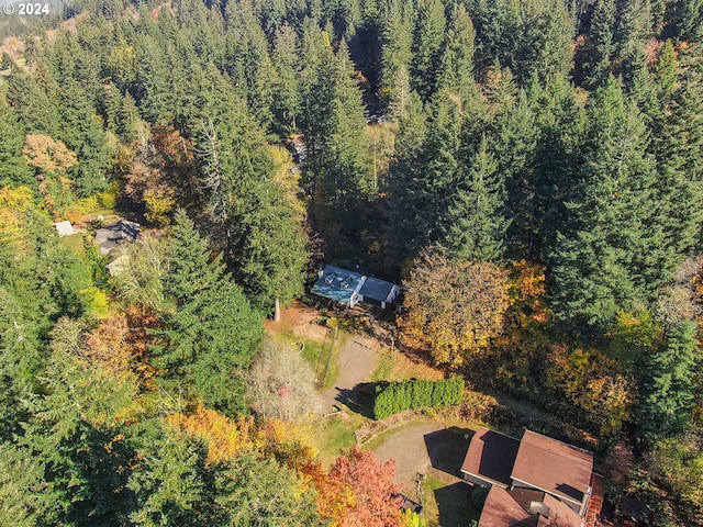 31205 NE 152nd Ave, Battle Ground, WA 98604 - aerial view of property and surrounding area with a forest