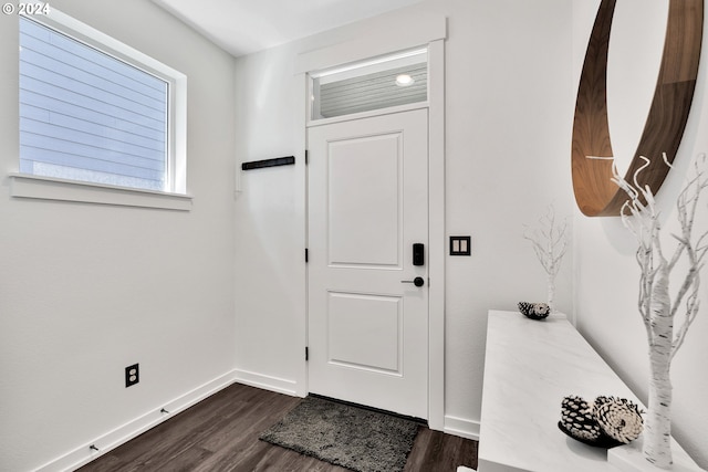 foyer featuring dark wood-type flooring