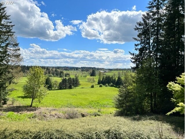 0 NE 45th St, Camas WA, 98607 land for sale