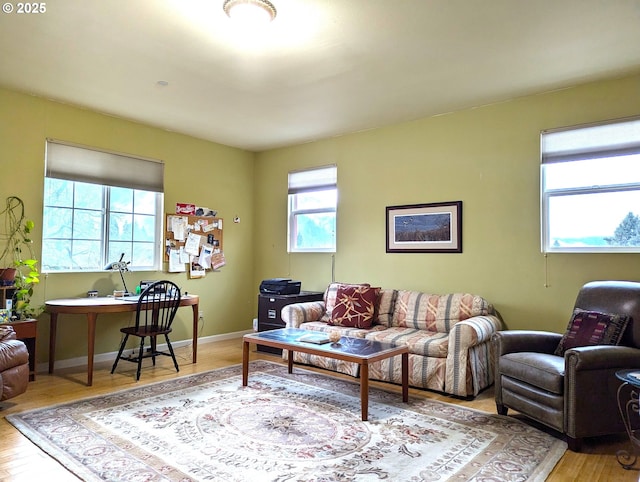 living room with light hardwood / wood-style floors