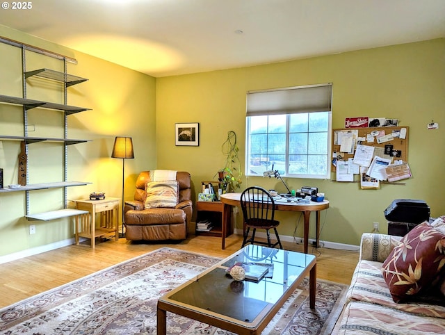 living room with hardwood / wood-style flooring