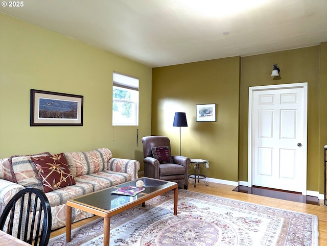 living room featuring hardwood / wood-style floors