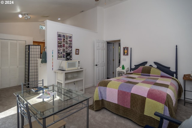 455 Chandler Dr, Roseburg, OR 97471 - bedroom featuring carpet flooring, a closet, and high vaulted ceiling