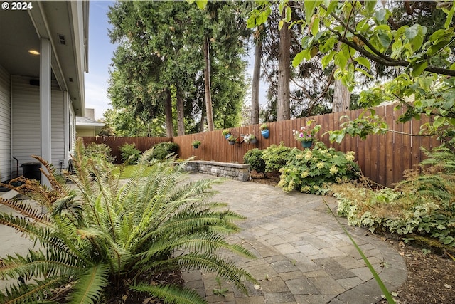 view of yard featuring a patio area