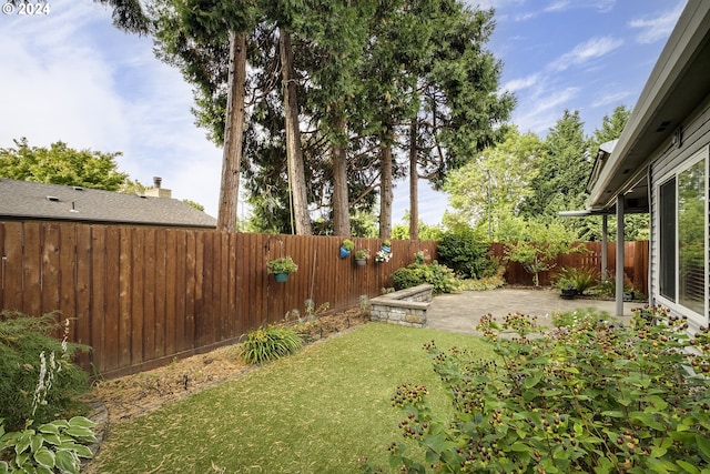 view of yard featuring a patio