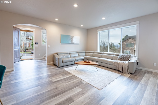 living room featuring light hardwood / wood-style flooring