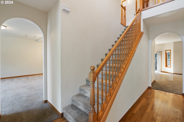 stairs with carpet floors