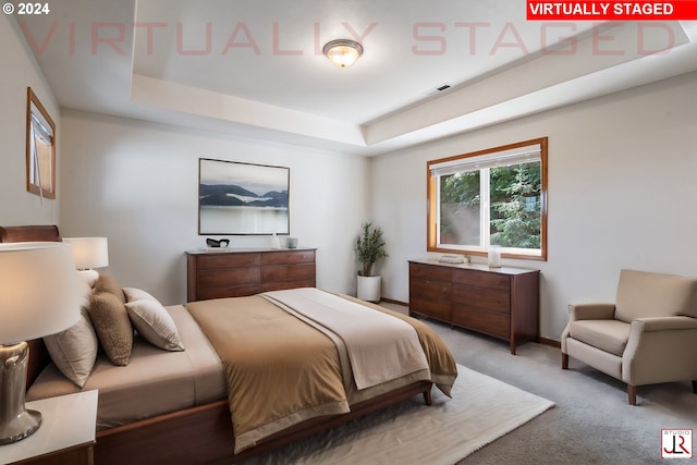 bedroom featuring a tray ceiling and carpet floors