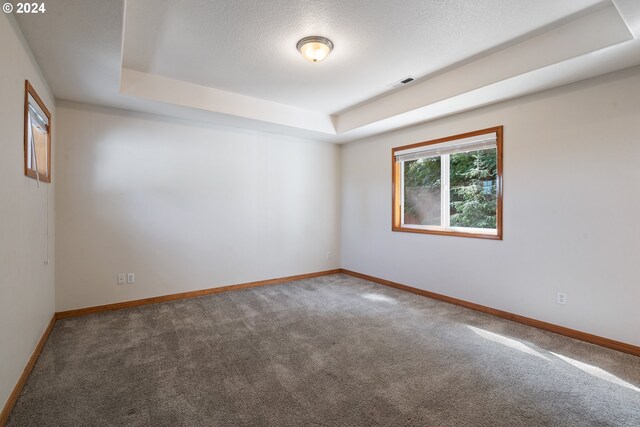 carpeted empty room with a tray ceiling and a textured ceiling