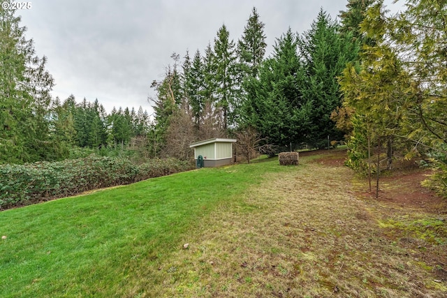 view of yard with a storage shed