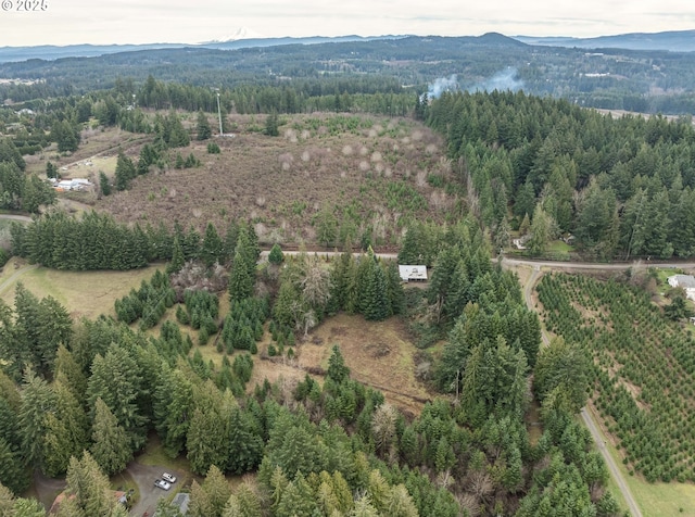 aerial view featuring a mountain view