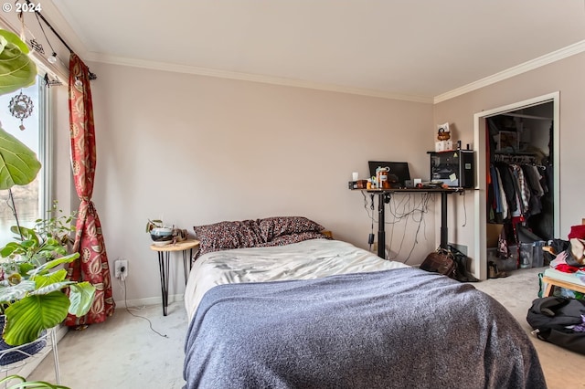 carpeted bedroom with a spacious closet, crown molding, and a closet