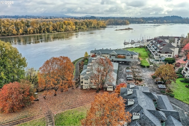 aerial view with a water view