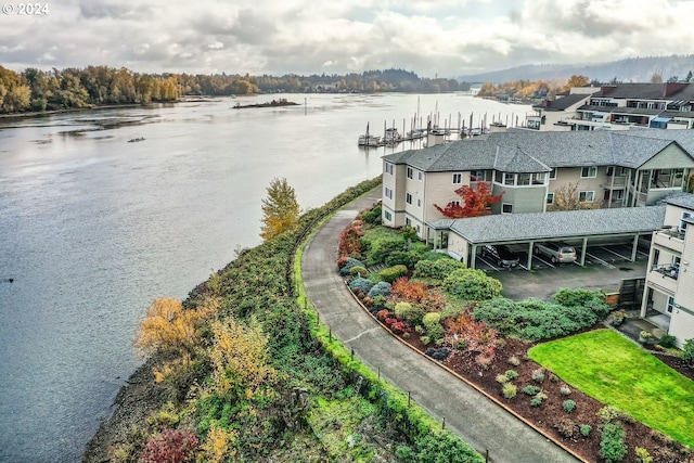 bird's eye view with a water view