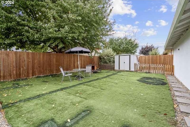 view of yard with a shed