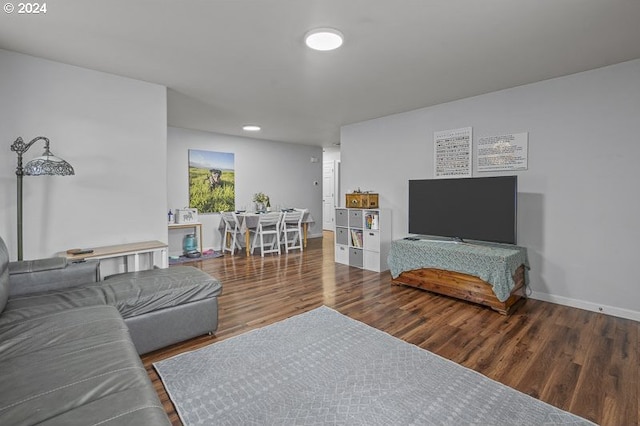 living room featuring wood-type flooring