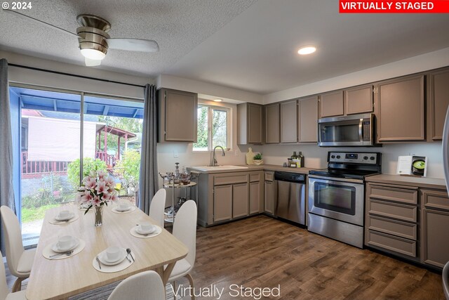 kitchen featuring ceiling fan, sink, dark wood-type flooring, stainless steel appliances, and gray cabinets