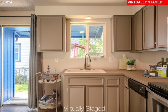 kitchen featuring wood-type flooring, stainless steel dishwasher, gray cabinetry, and sink